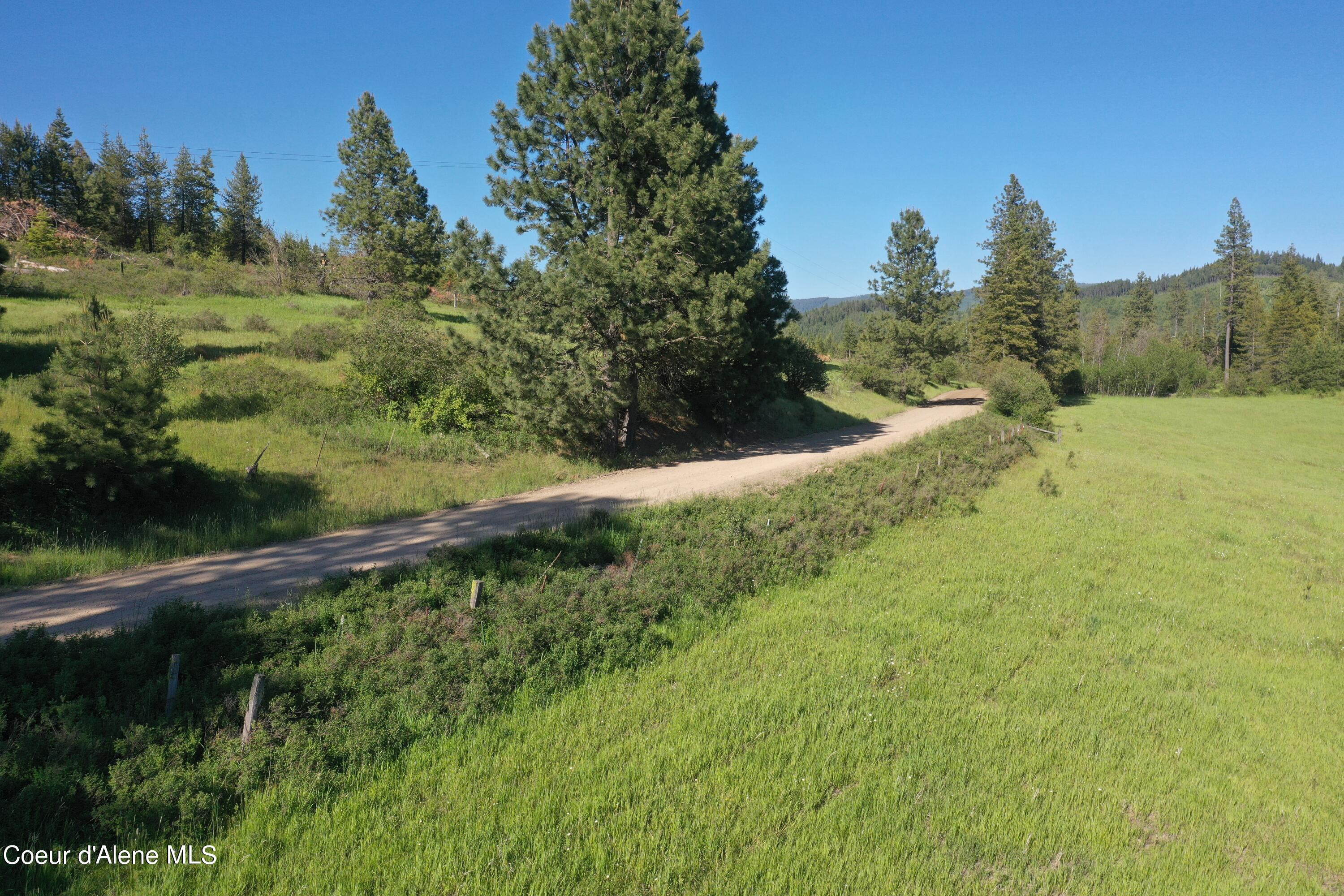 NKA Parcel 200 Windfall Pass, St. Maries, Texas image 21