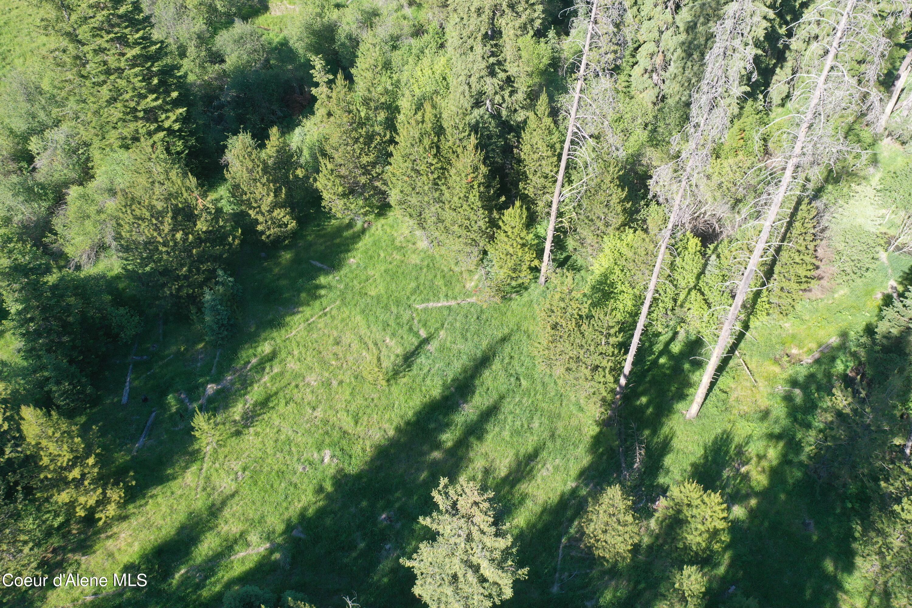 NKA Parcel 200 Windfall Pass, St. Maries, Texas image 18