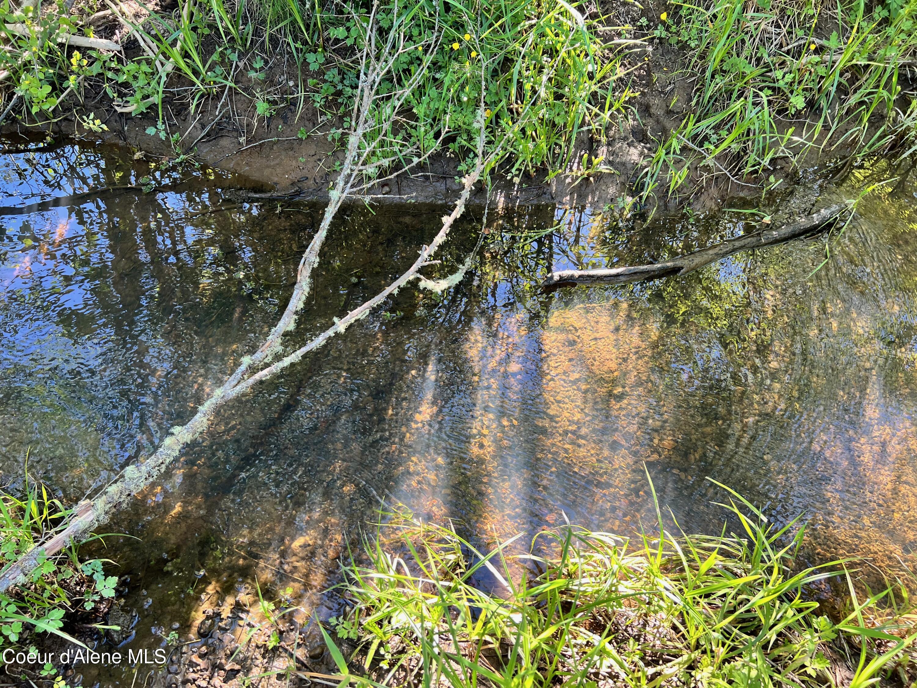 NKA Parcel 200 Windfall Pass, St. Maries, Texas image 3