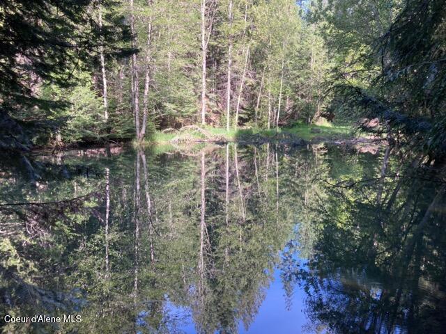 Careywood, Idaho, 83809, United States, 3 Bedrooms Bedrooms, ,3 BathroomsBathrooms,Residential,Active,2033984