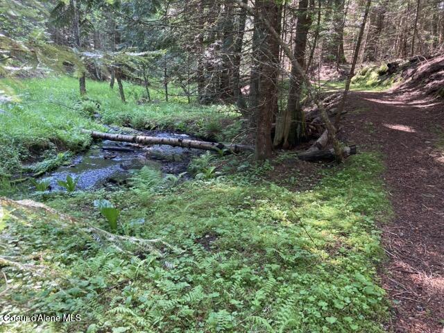 Careywood, Idaho, 83809, United States, 3 Bedrooms Bedrooms, ,3 BathroomsBathrooms,Residential,Active,2033984