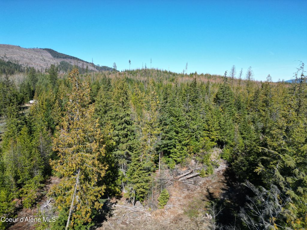 Photo of 123 Badger, St. Maries, ID 83861 (MLS # 26-3096)