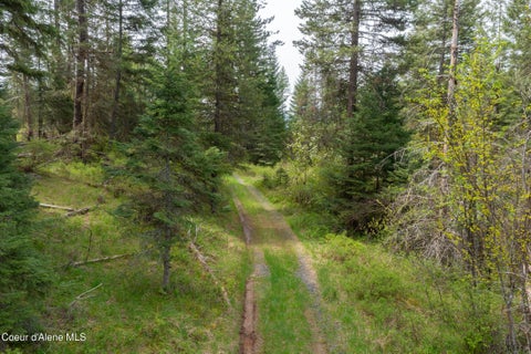 Vacant Land For Sale - NNA Davis Creek Creek<br/> Santa, ID 83866