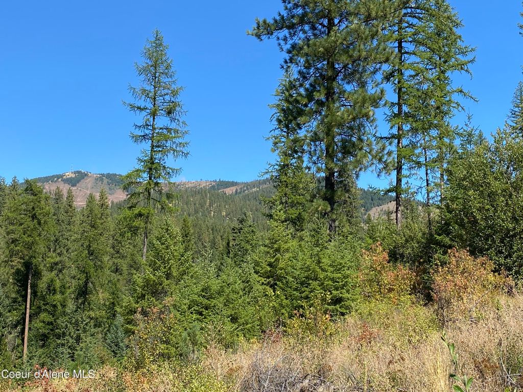Photo of NNA Stone Rd Lot 2 (20.0 Acres), Blanchard, ID 83804 (MLS # 25-10272)