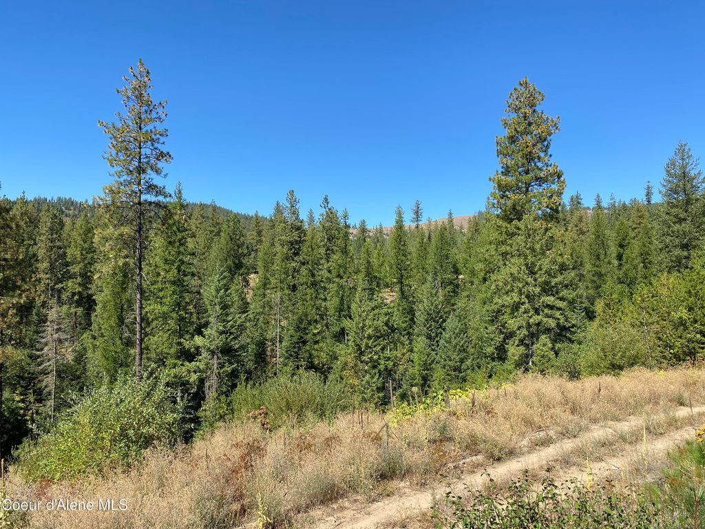 Photo of NNA Stone Rd Lot 2 (20.0 Acres), Blanchard, ID 83804 (MLS # 25-10272)