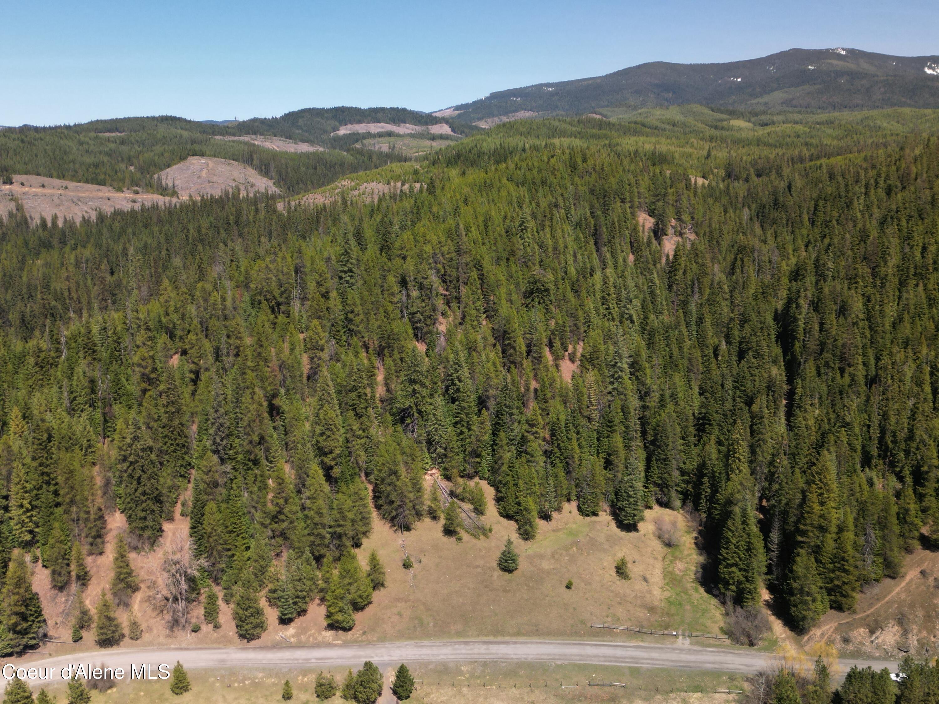 000 Gold Center/ Usfs Rd 301 Avenue, Clarkia, Alaska image 20