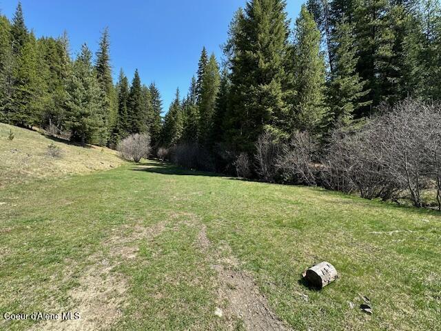 000 Gold Center/ Usfs Rd 301 Avenue, Clarkia, Alaska image 3
