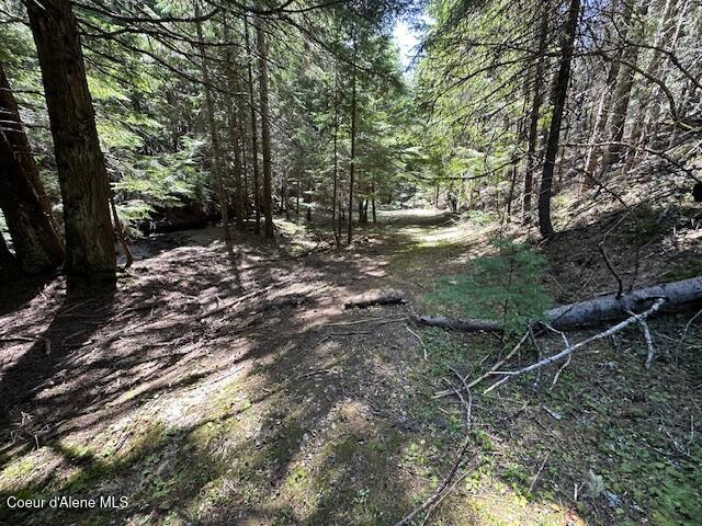 000 Gold Center/ Usfs Rd 301 Avenue, Clarkia, Alaska image 8