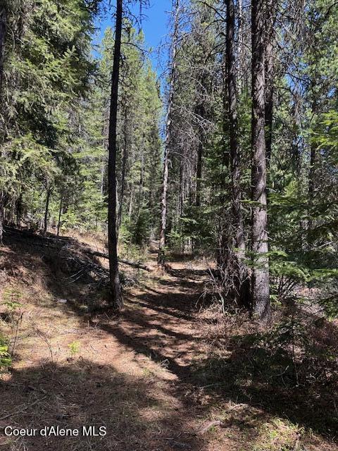000 Gold Center/ Usfs Rd 301 Avenue, Clarkia, Alaska image 6