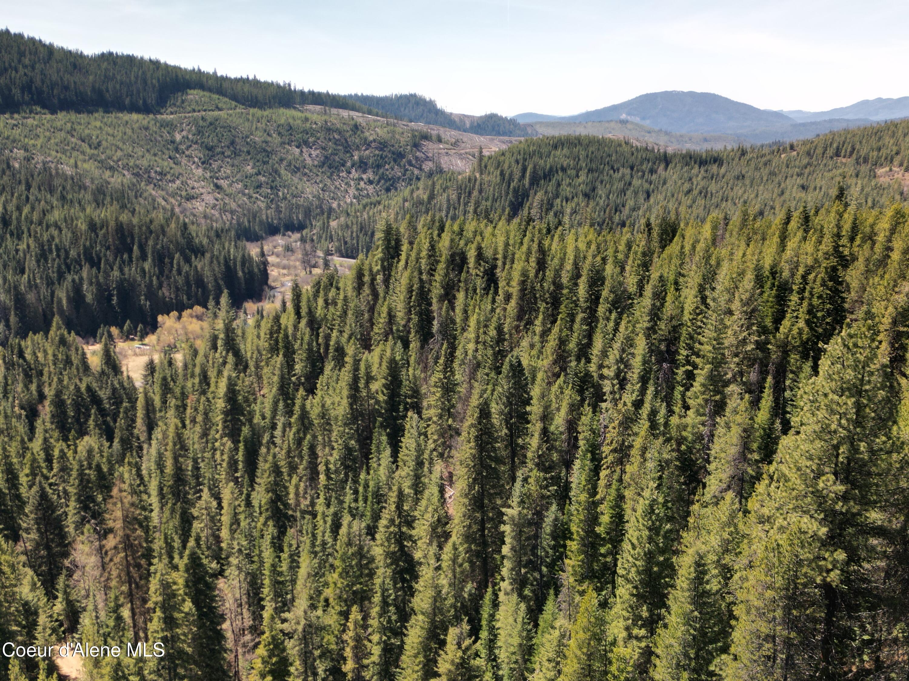 000 Gold Center/ Usfs Rd 301 Avenue, Clarkia, Alaska image 18