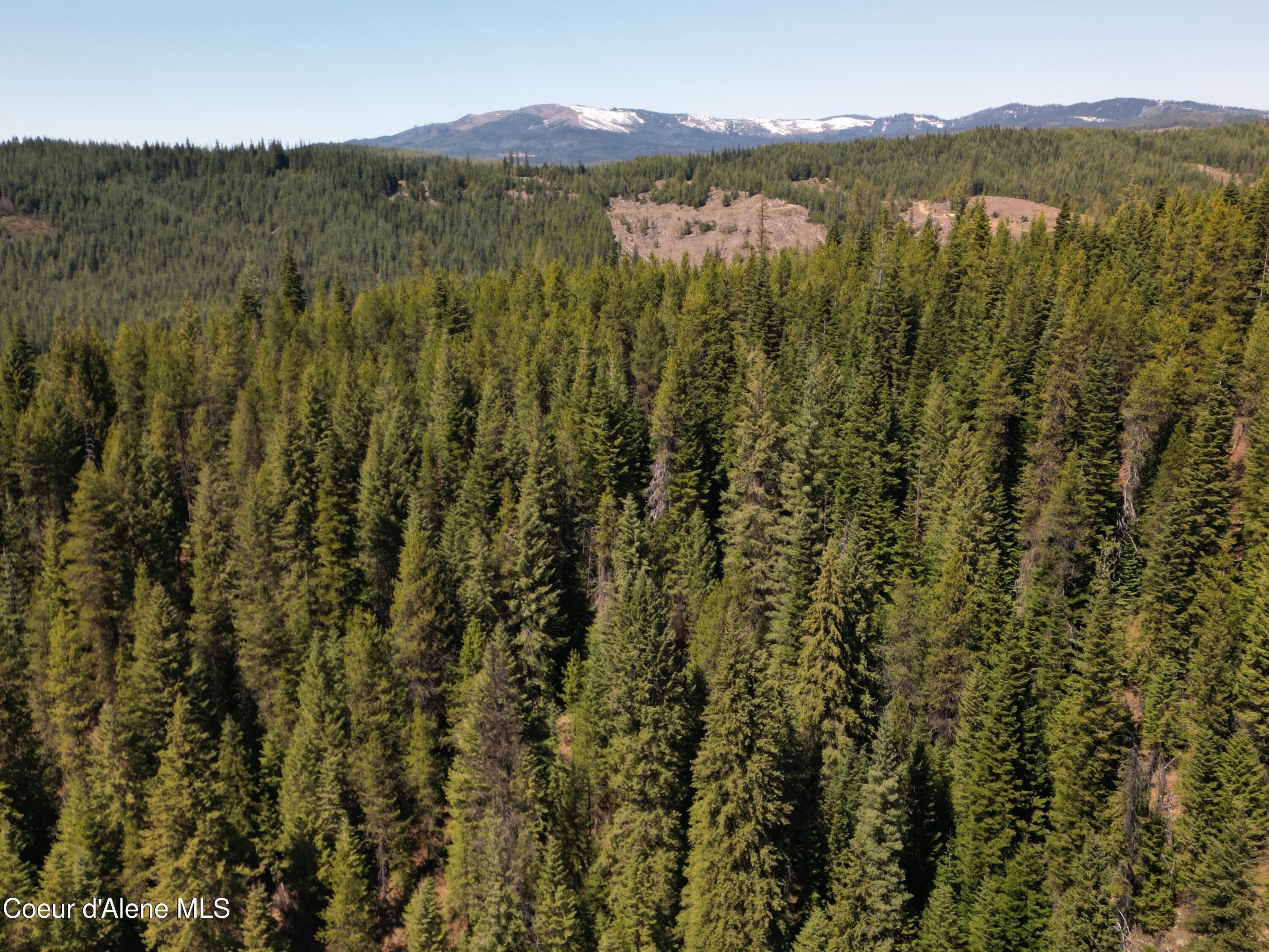 000 Gold Center/ Usfs Rd 301 Avenue, Clarkia, Alaska image 16