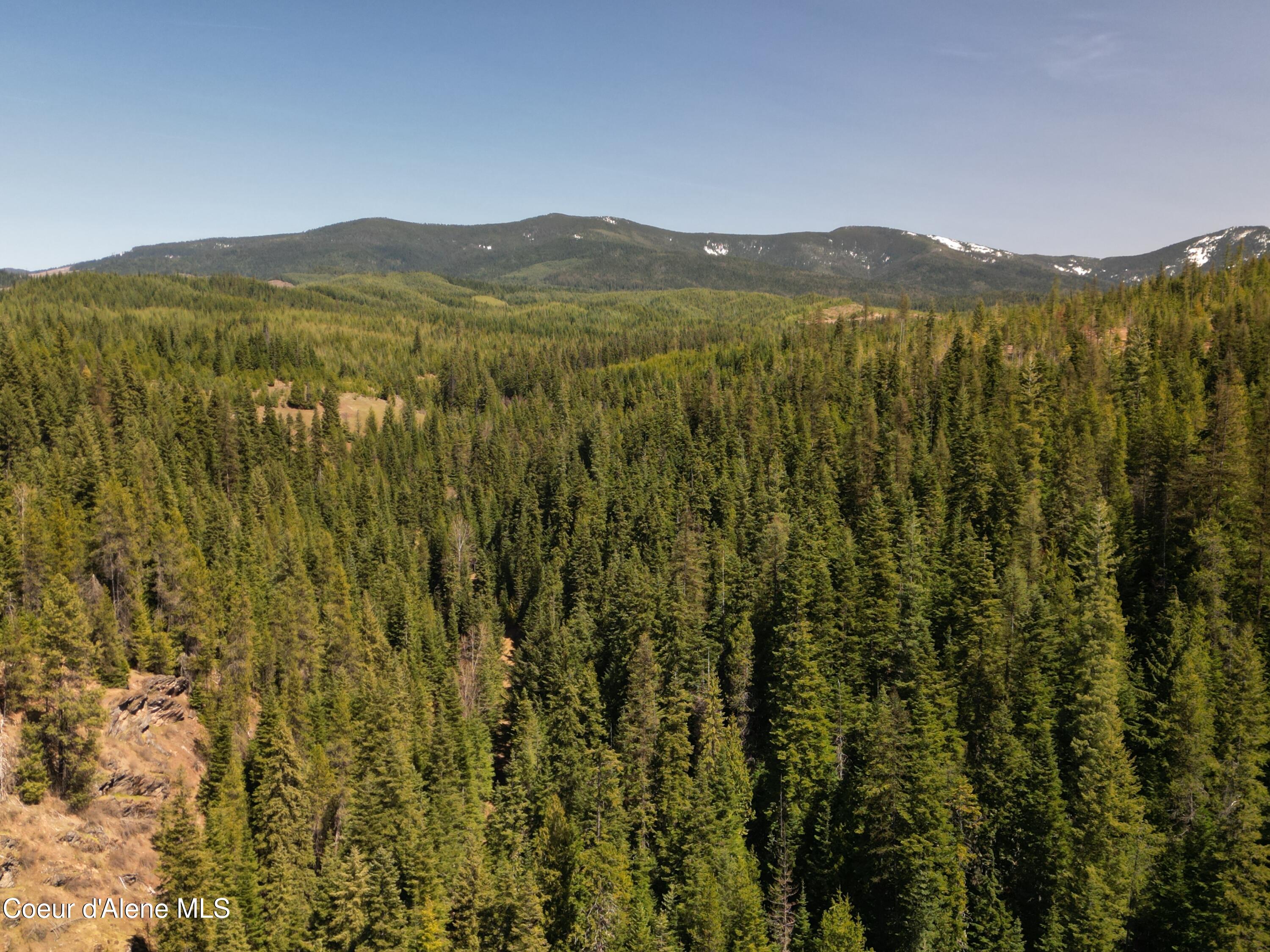 000 Gold Center/ Usfs Rd 301 Avenue, Clarkia, Alaska image 14