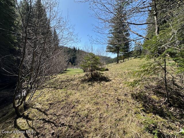 000 Gold Center/ Usfs Rd 301 Avenue, Clarkia, Alaska image 4