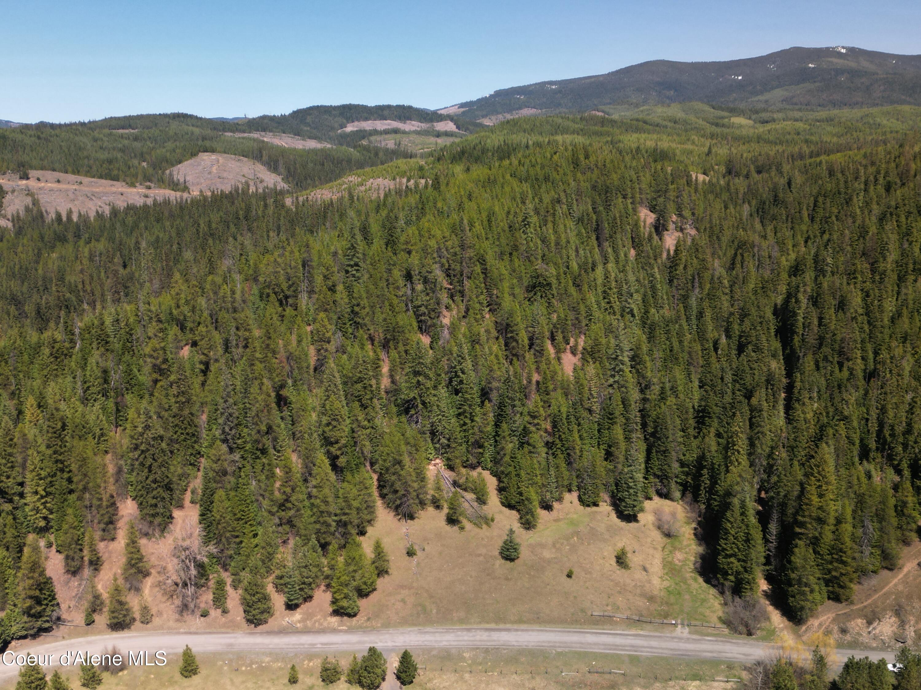 000 Gold Center/ Usfs Rd 301 Avenue, Clarkia, Alaska image 19