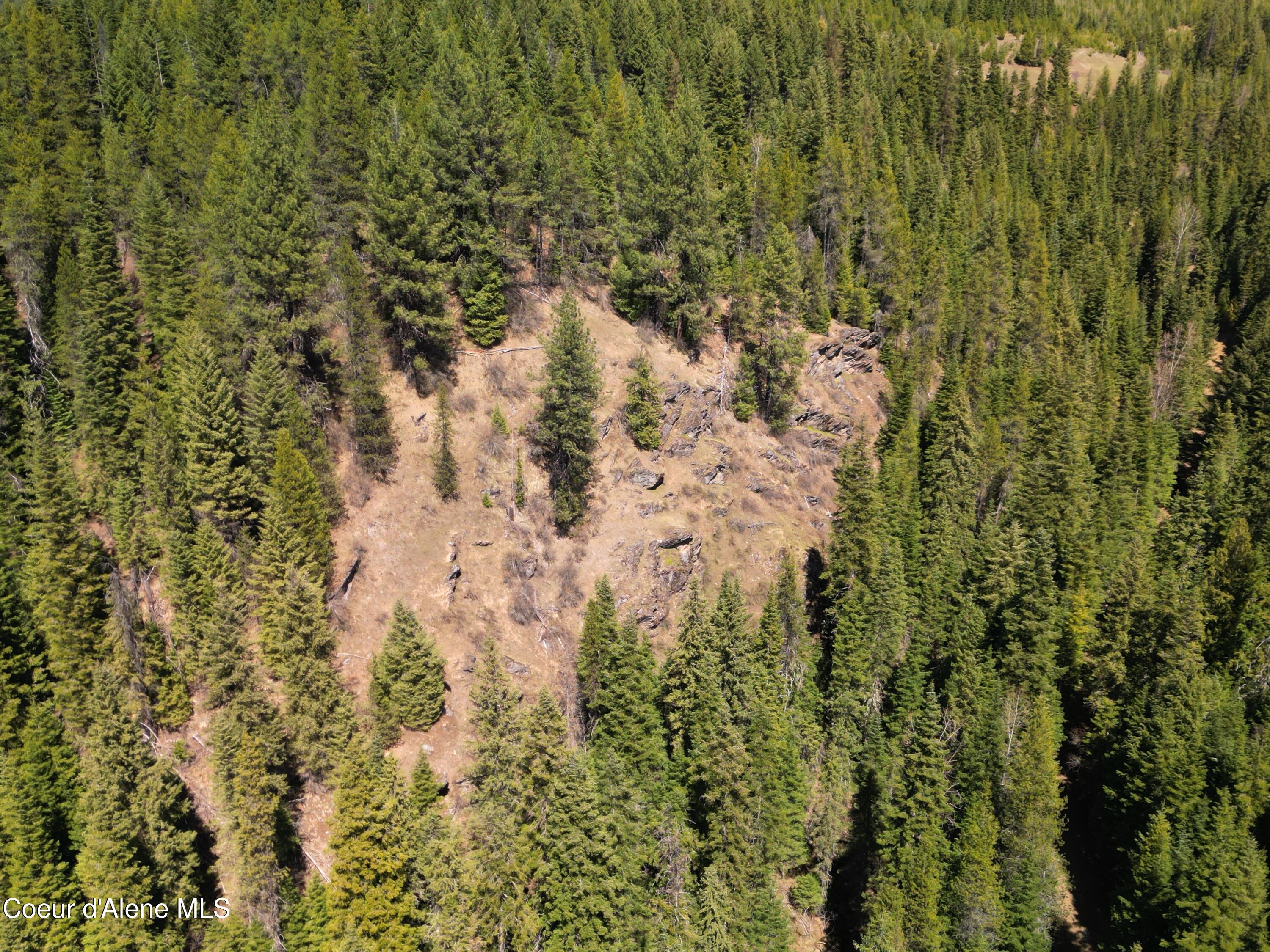 000 Gold Center/ Usfs Rd 301 Avenue, Clarkia, Alaska image 15