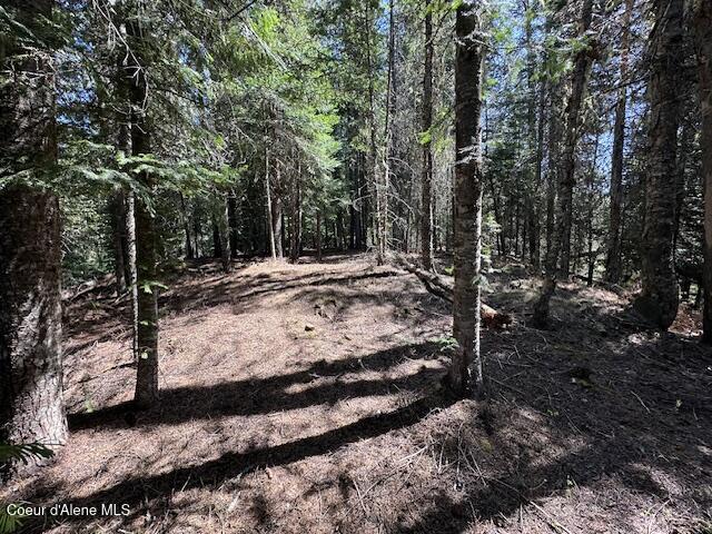 000 Gold Center/ Usfs Rd 301 Avenue, Clarkia, Alaska image 7