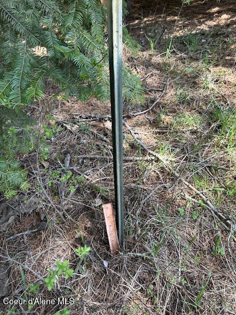 000 Gold Center/ Usfs Rd 301 Avenue, Clarkia, Alaska image 23