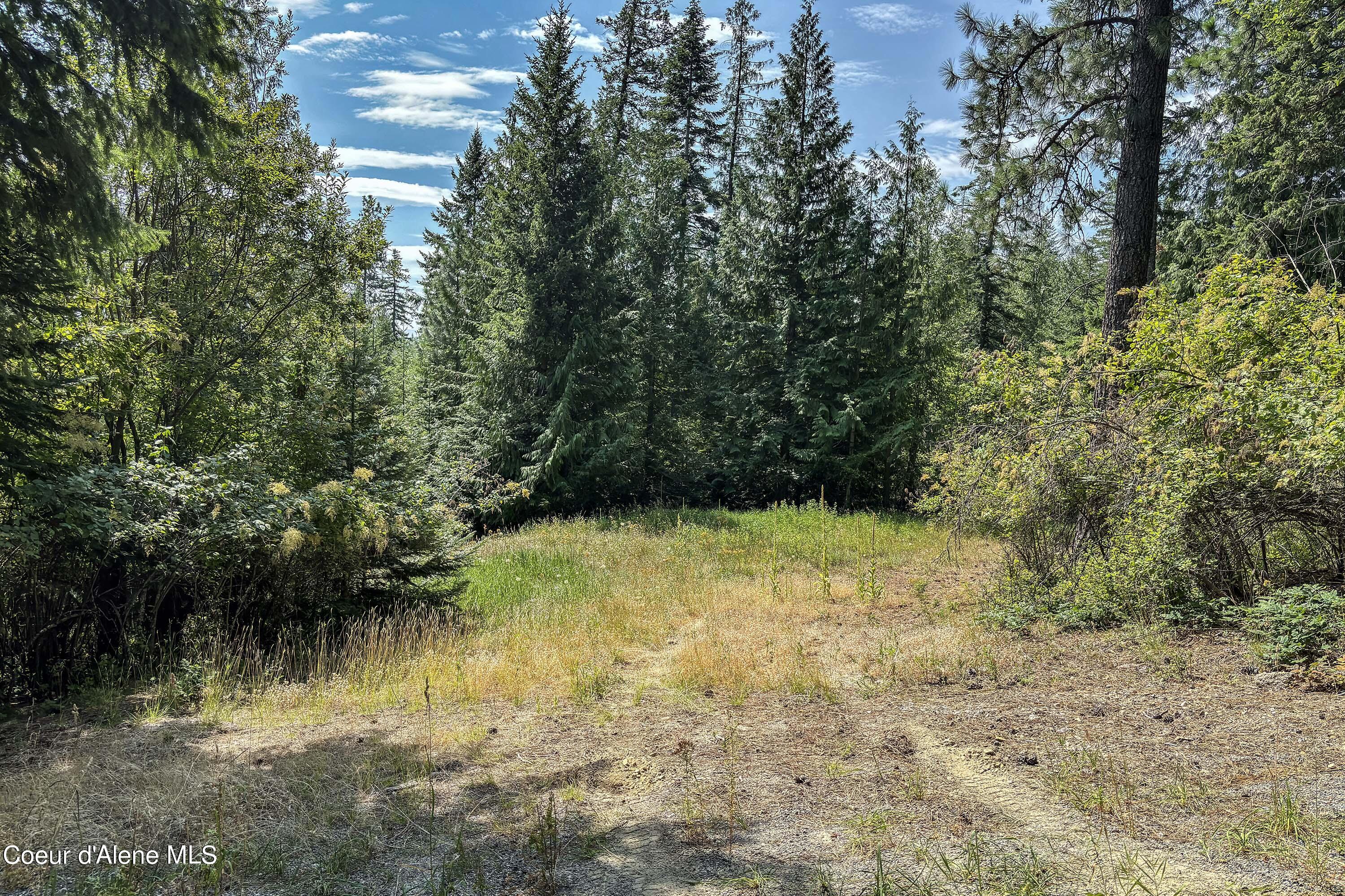 1728 Gooby Rd, Sandpoint, Idaho image 3