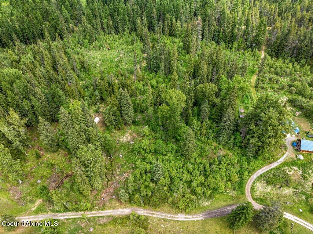 NNA Portage Trail, Priest River, Idaho image 12