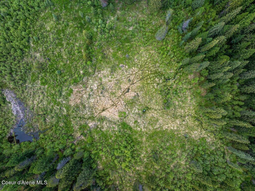 NNA Portage Trail, Priest River, Idaho image 25