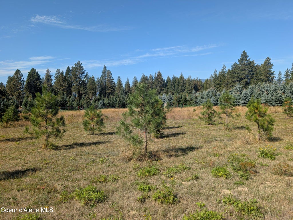 Photo of NNA McCall, Bonners Ferry, ID 83805 (MLS # 26-9533)