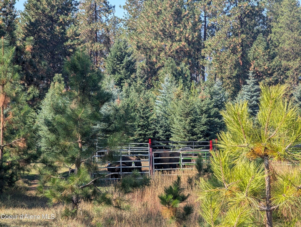 Photo of NNA McCall, Bonners Ferry, ID 83805 (MLS # 26-9533)