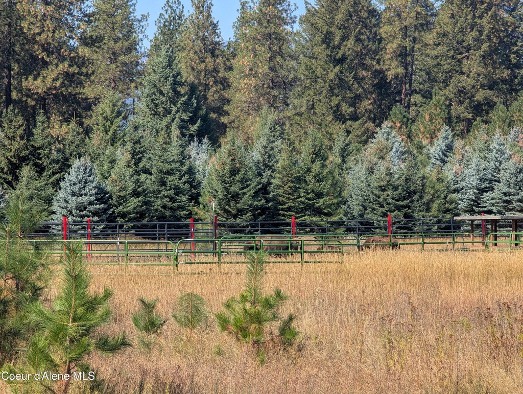 Photo of NNA McCall, Bonners Ferry, ID 83805 (MLS # 26-9533)