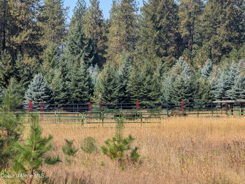 Vacant Land For Sale - NNA Mccall<br/> Bonners Ferry, ID 83805