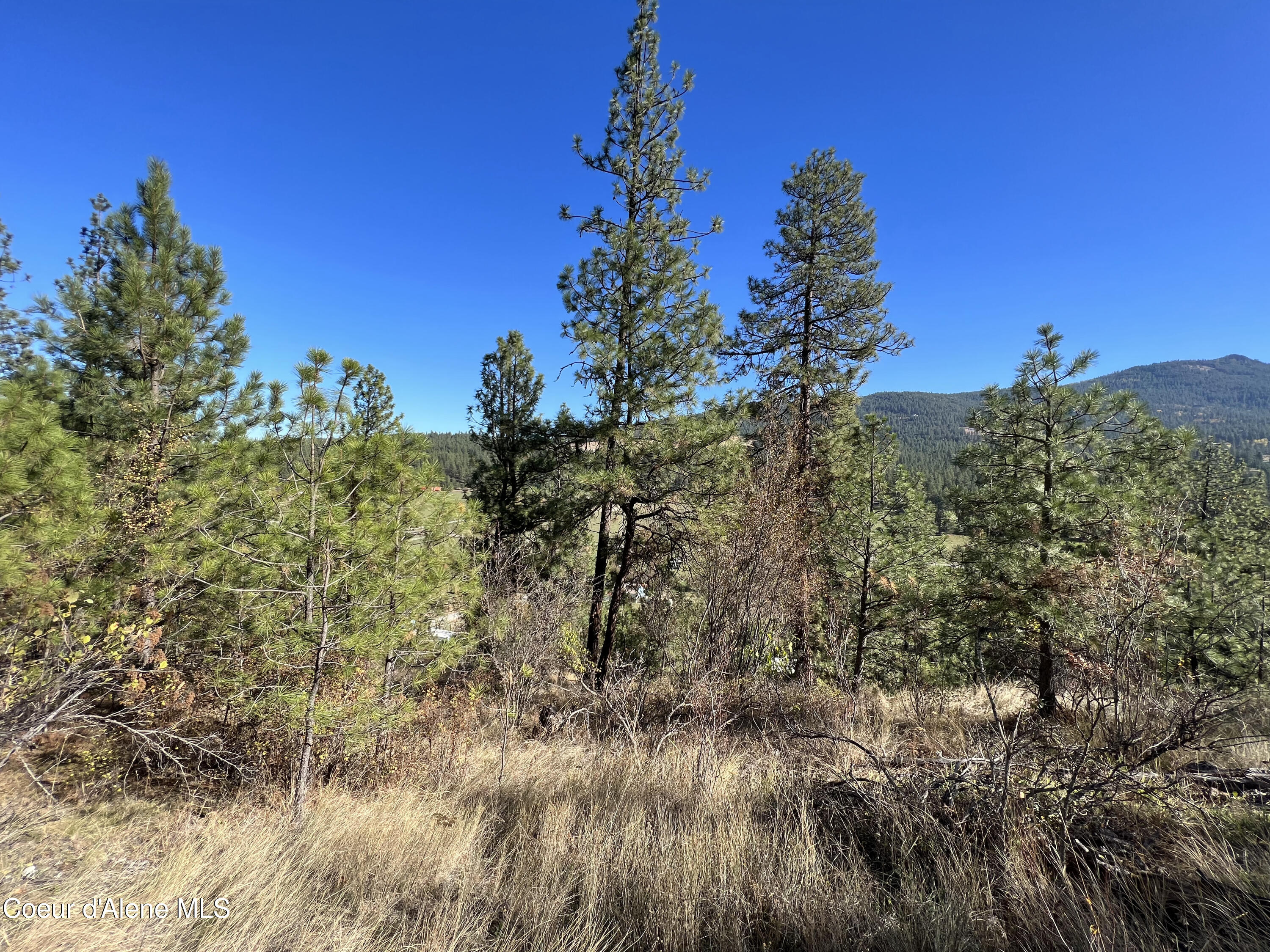 NKA Idaho Road, Liberty Lake, Washington image 21