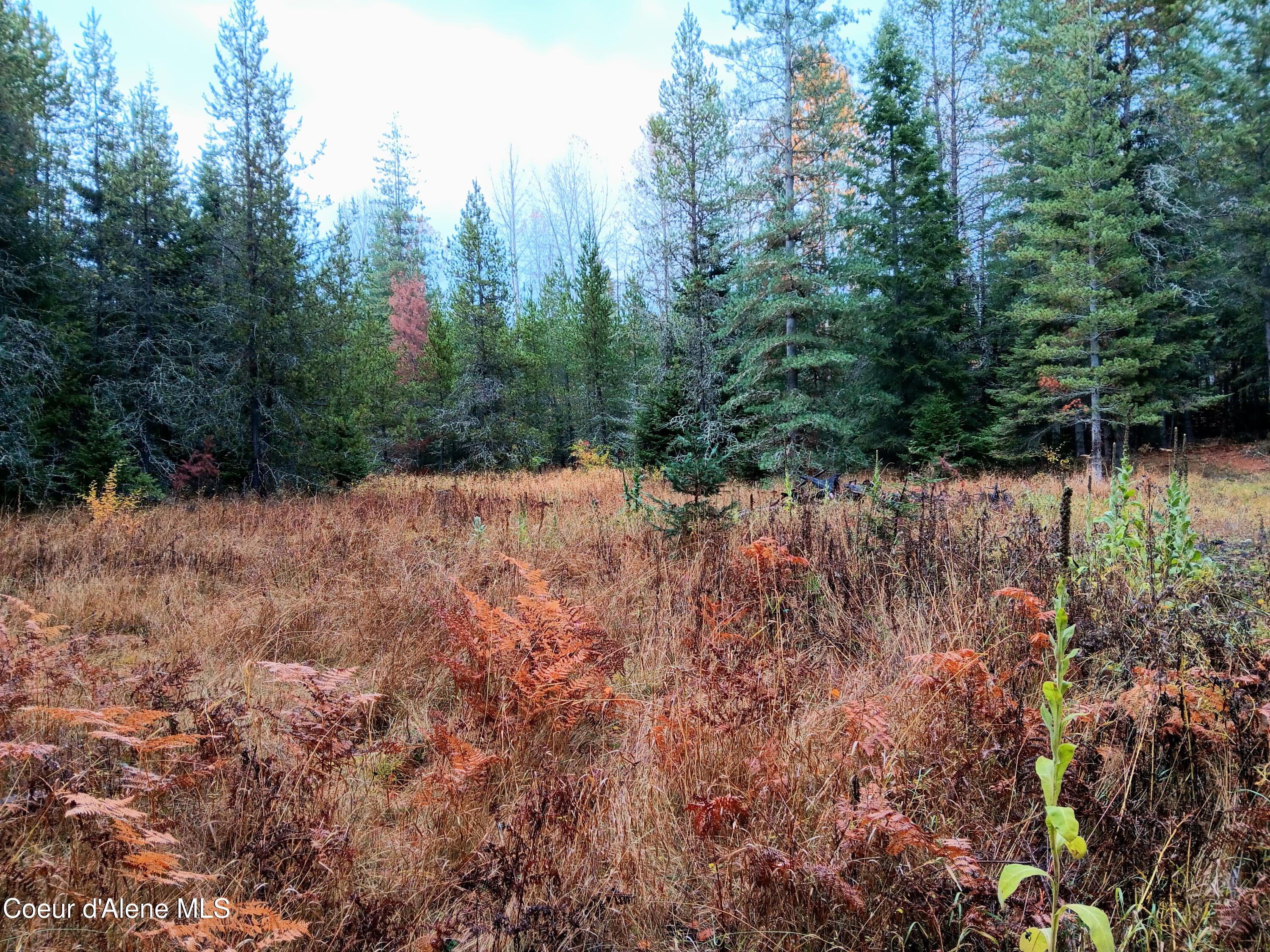 NNA Green Bay Road - Lot 1b Road, Sagle, Alaska image 9