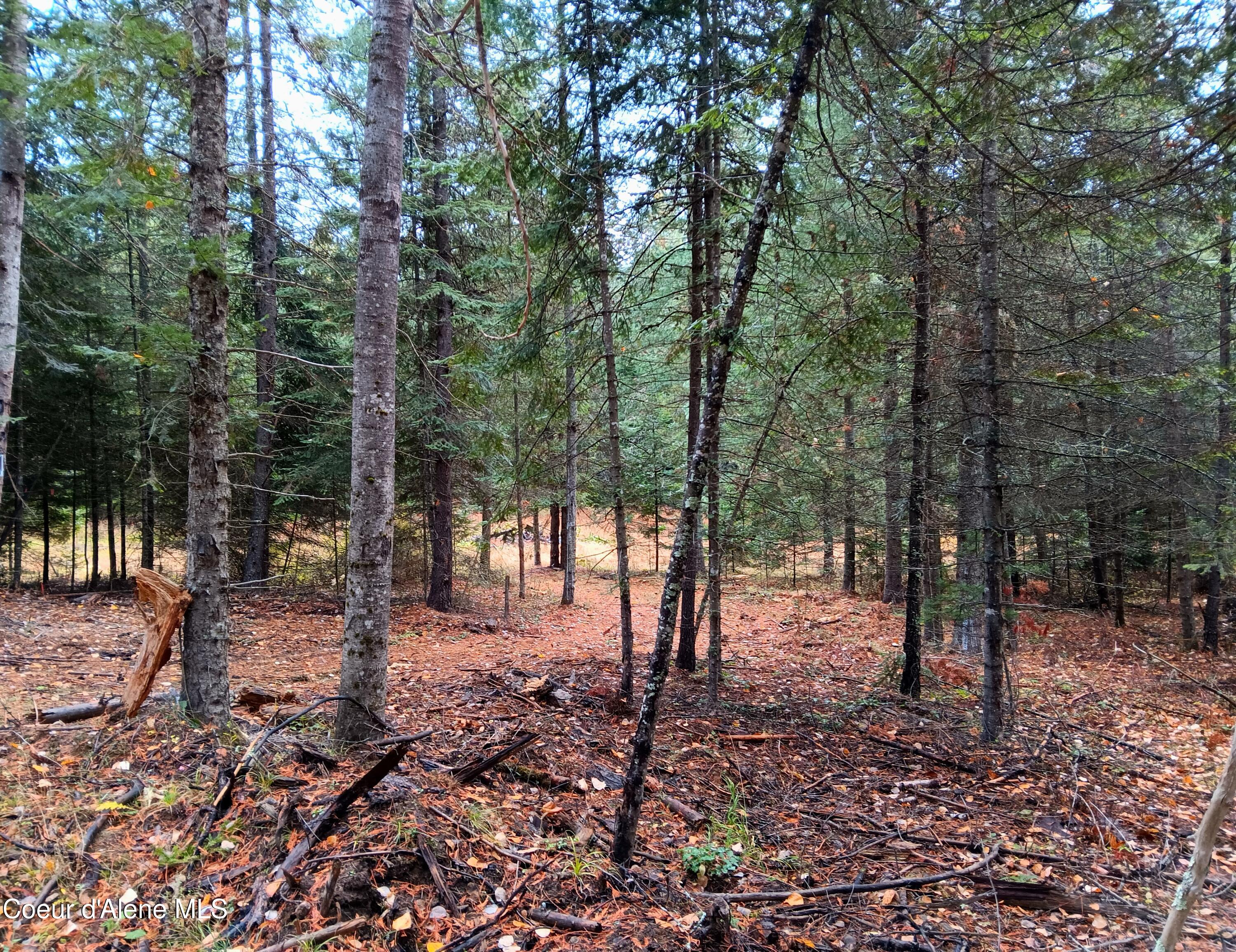 NNA Green Bay Road - Lot 1b Road, Sagle, Alaska image 6