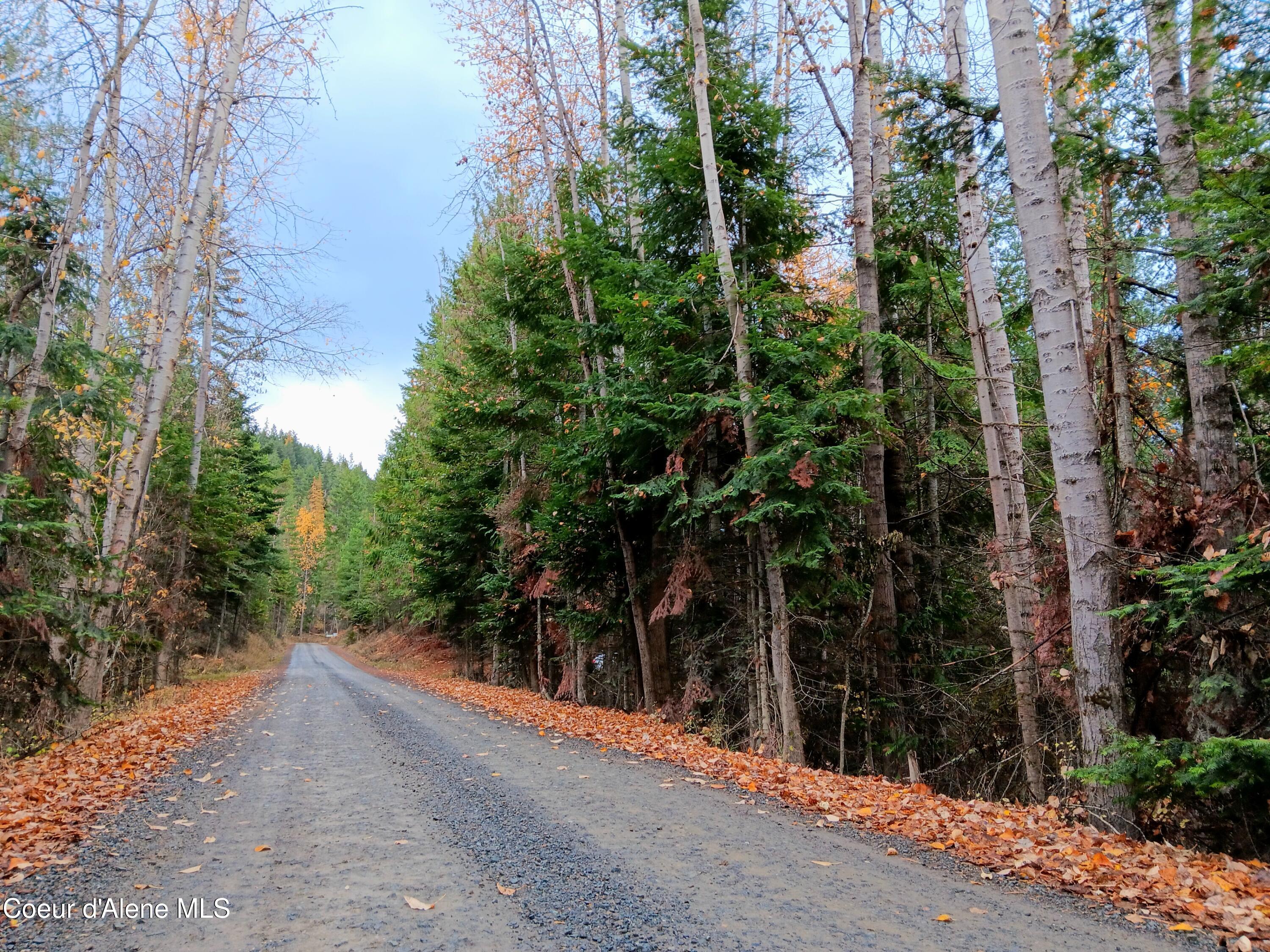 NNA Green Bay Road - Lot 1b Road, Sagle, Alaska image 5