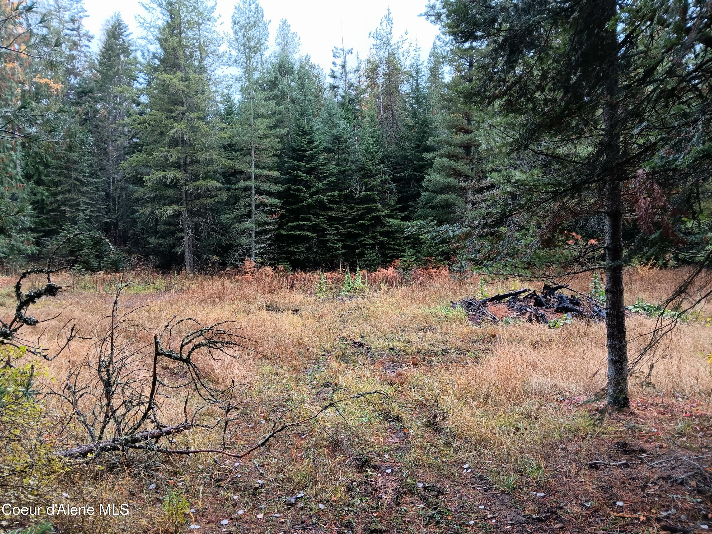 NNA Green Bay Road - Lot 1b Road, Sagle, Alaska image 7