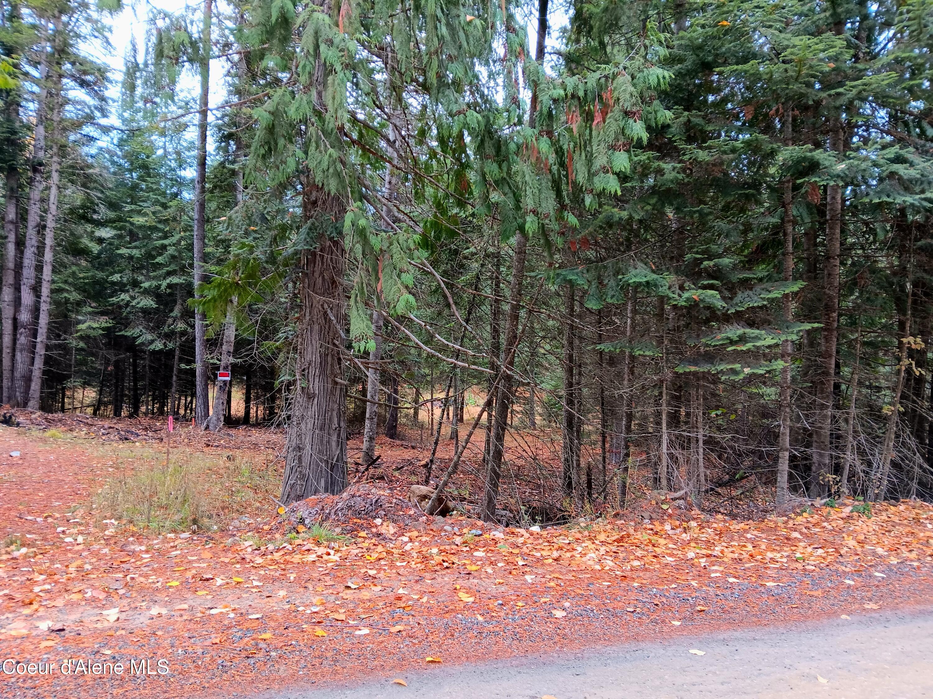 NNA Green Bay Road - Lot 1b Road, Sagle, Alaska image 3