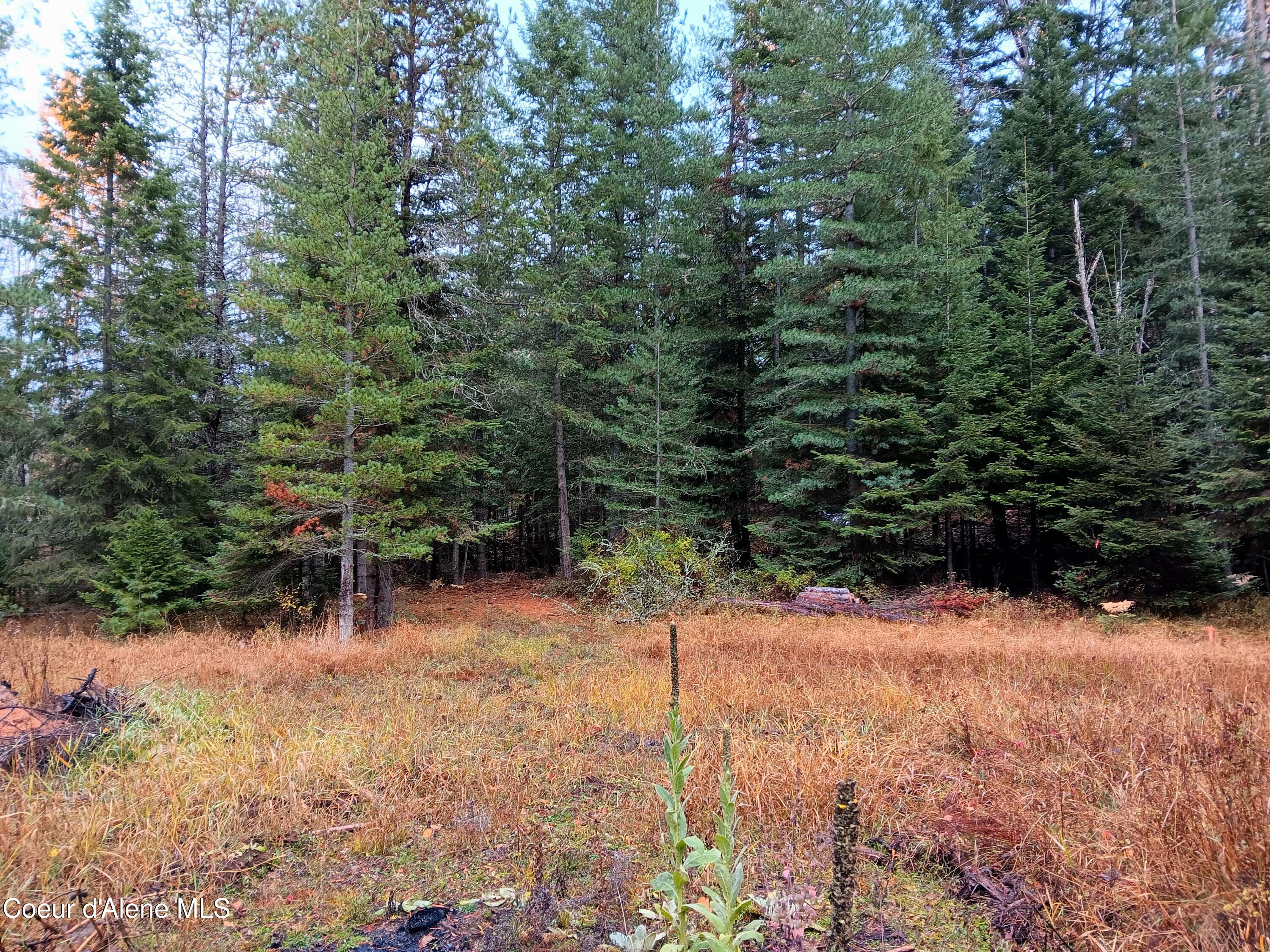 NNA Green Bay Road - Lot 1b Road, Sagle, Alaska image 4