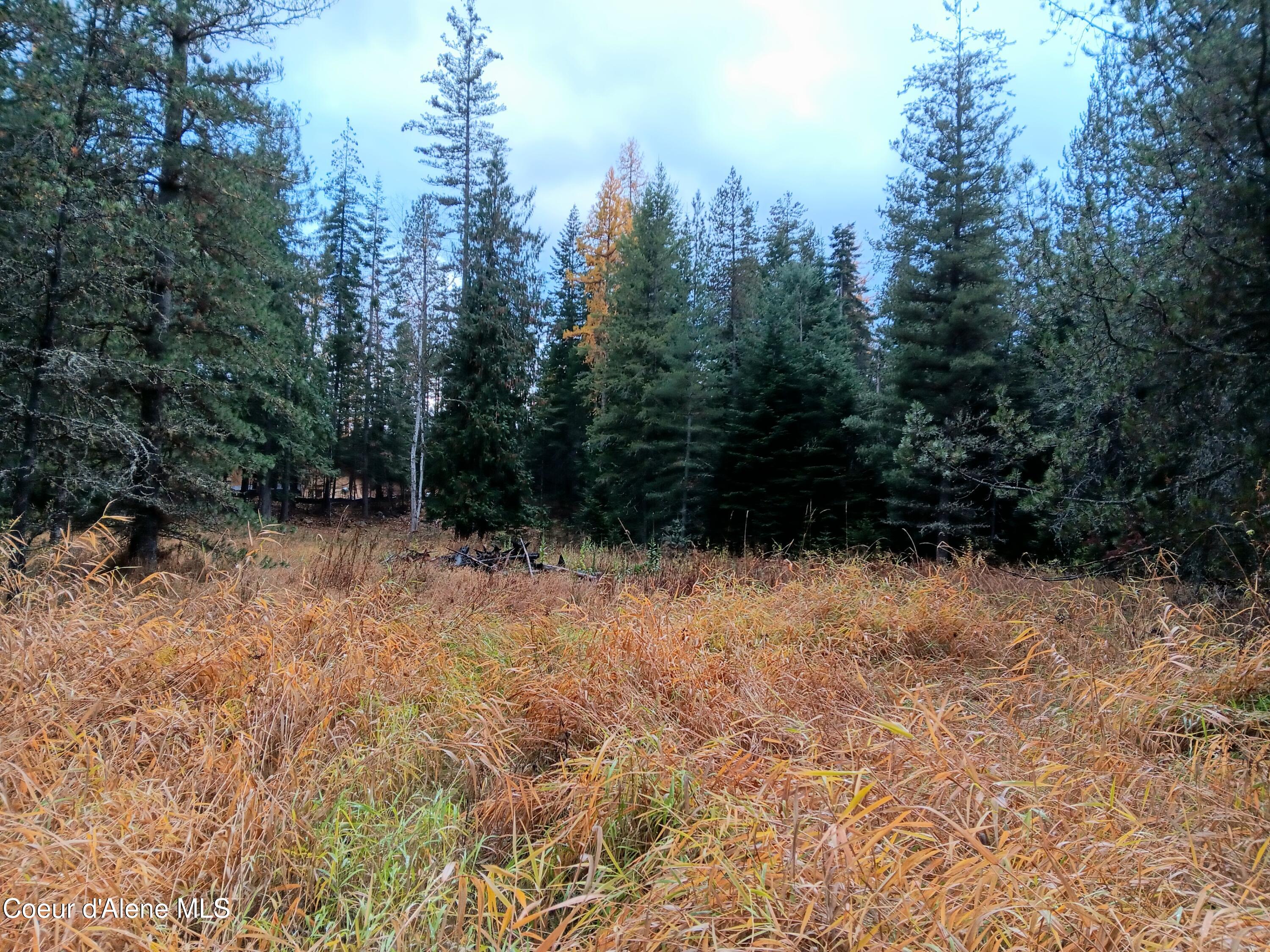 NNA Green Bay Road - Lot 1b Road, Sagle, Alaska image 10