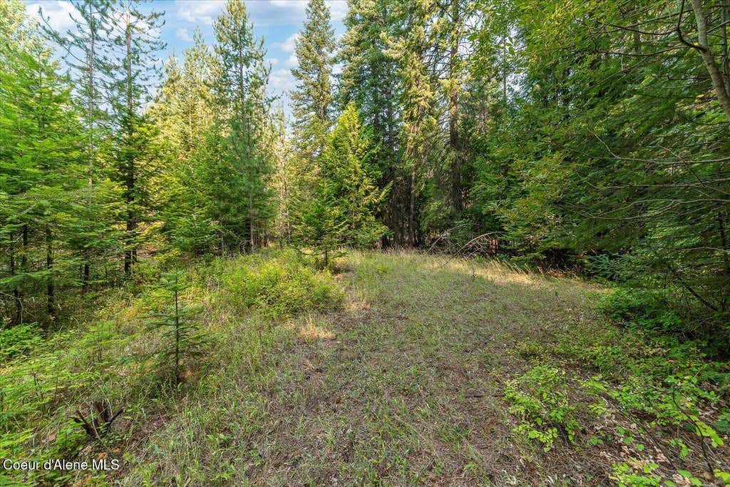 Photo of NKA Radmer, Rathdrum, ID 83858 (MLS # 26-8575)