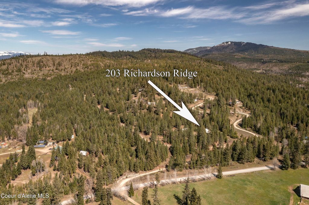 Photo of 203 Richardsons Ridge Ridge, Careywood, ID 83809 (MLS # 26-4194)