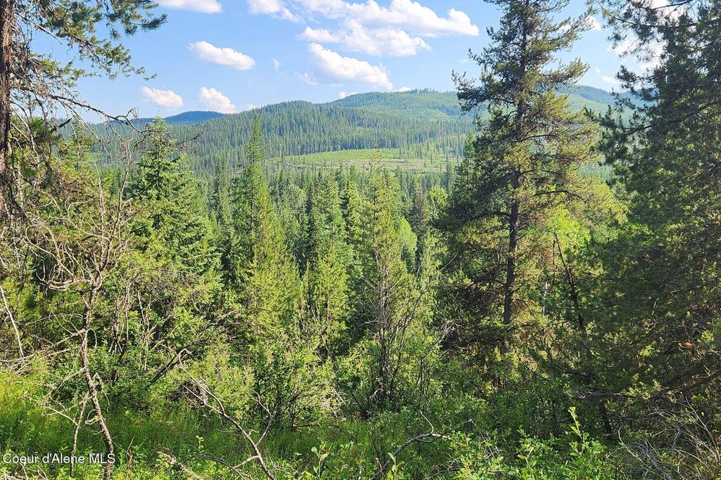 Photo of NNA Reeder Bay, Nordman, ID 83848 (MLS # 26-3427)