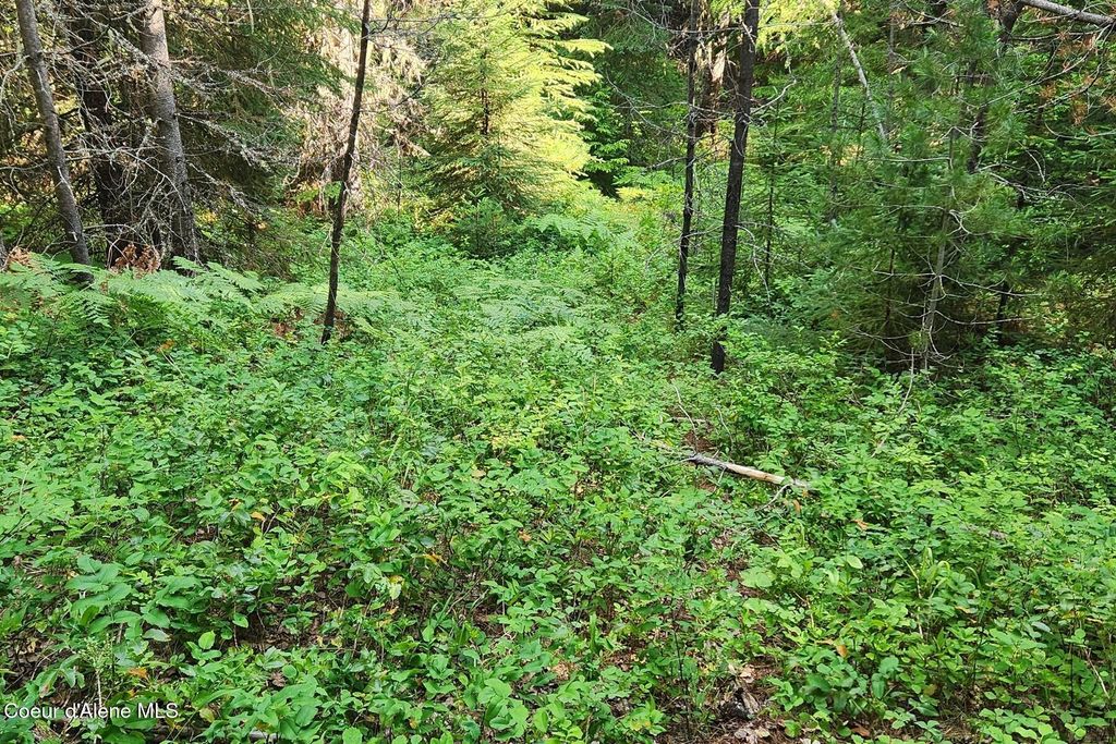 Photo of NNA Reeder Bay, Nordman, ID 83848 (MLS # 26-3427)