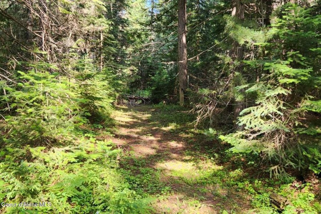 Photo of NNA Reeder Bay, Nordman, ID 83848 (MLS # 26-3427)