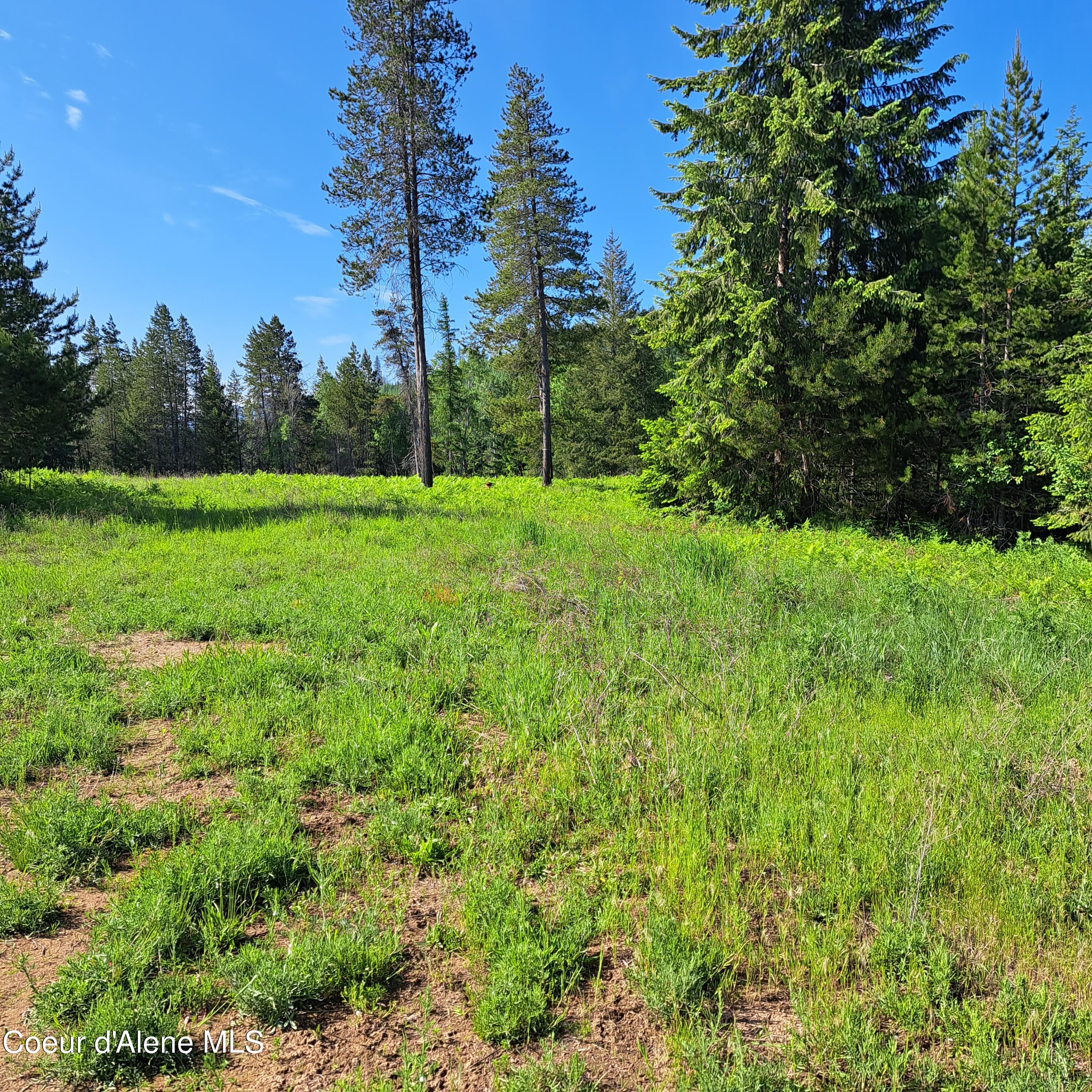 NKA Otter Lane, Bonners Ferry, Idaho image 2