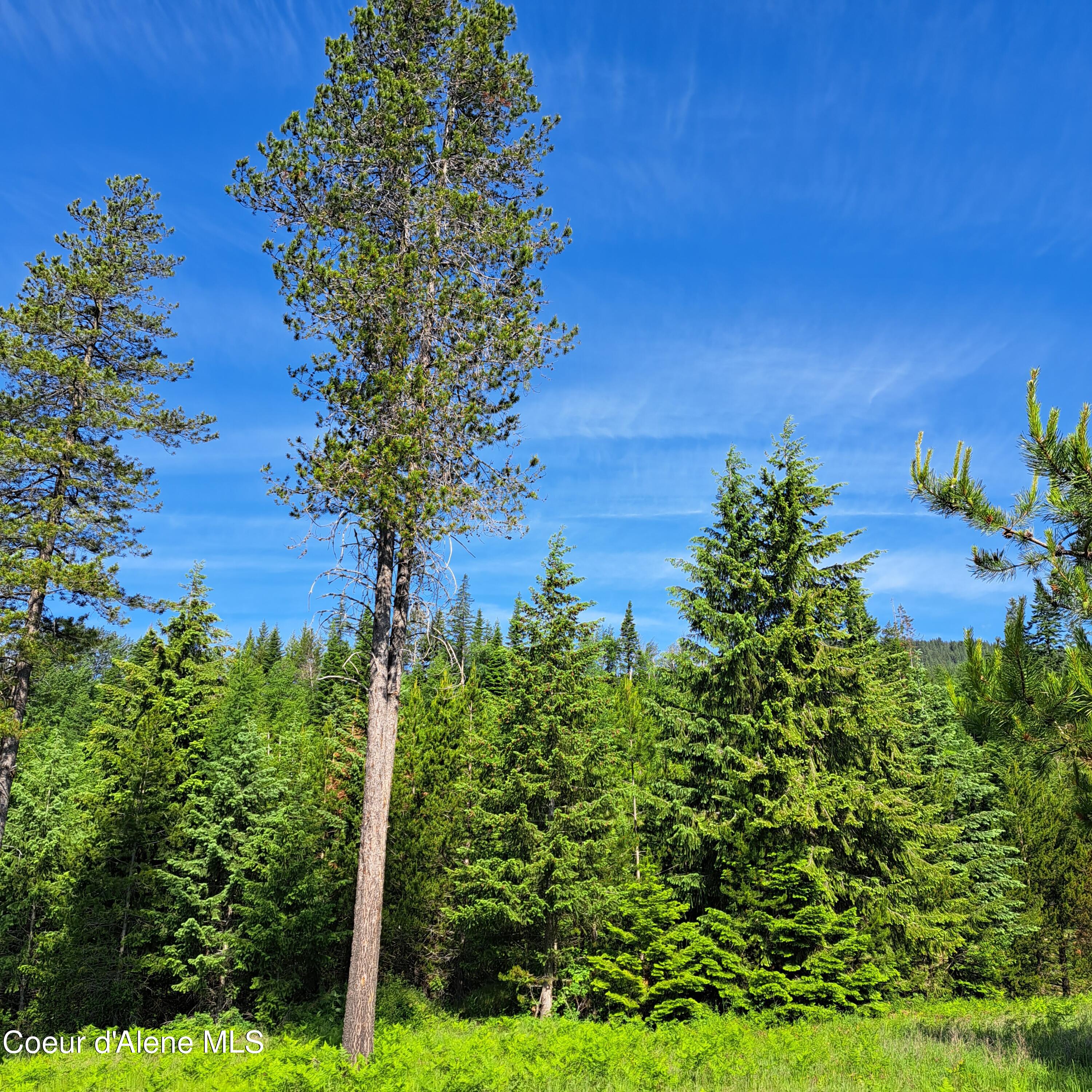 NKA Otter Lane, Bonners Ferry, Idaho image 8