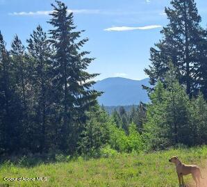 NKA Otter Lane, Bonners Ferry, Idaho image 1