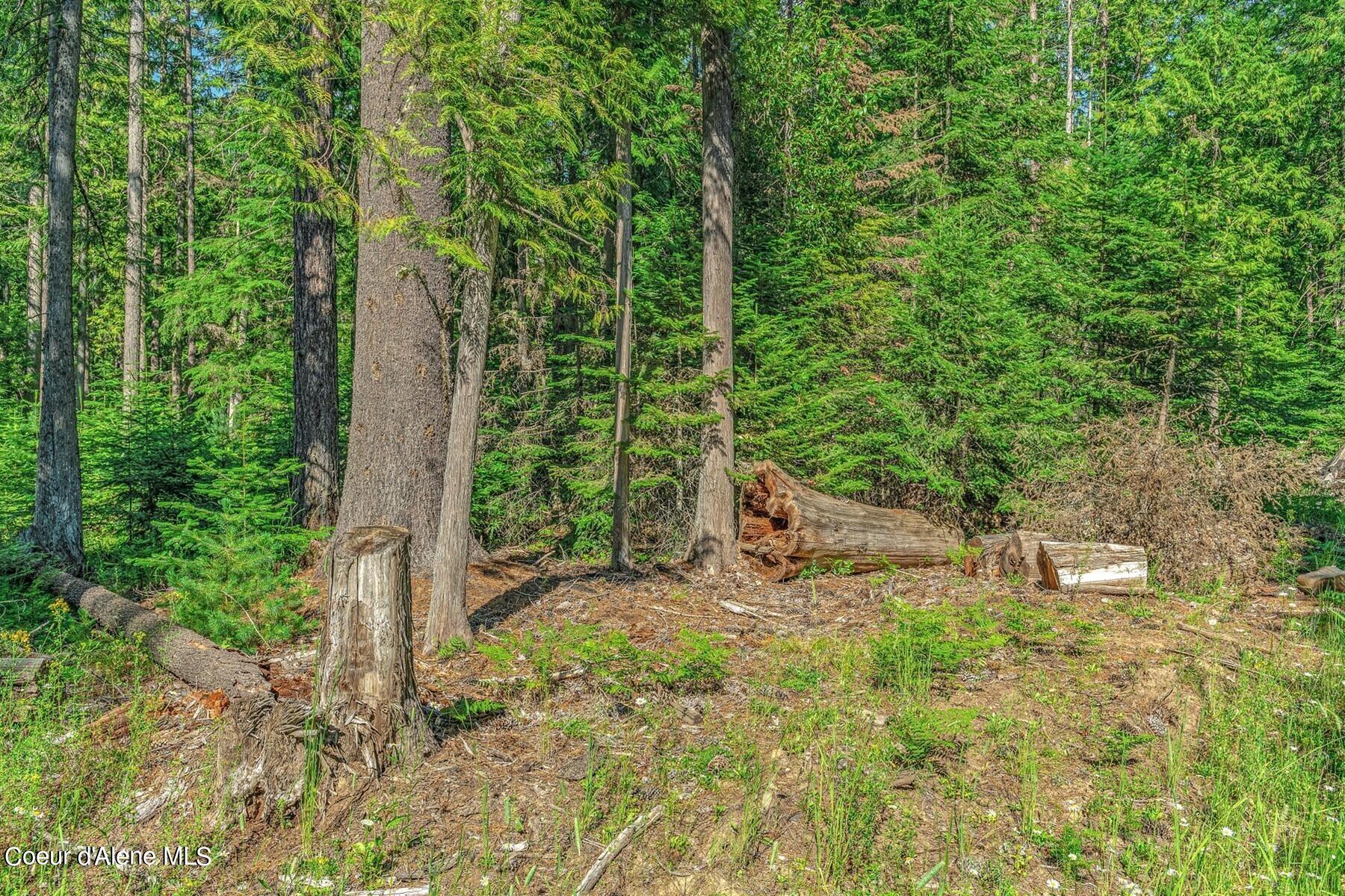 NNA Bottle Bay Rd, Sagle, Idaho image 37