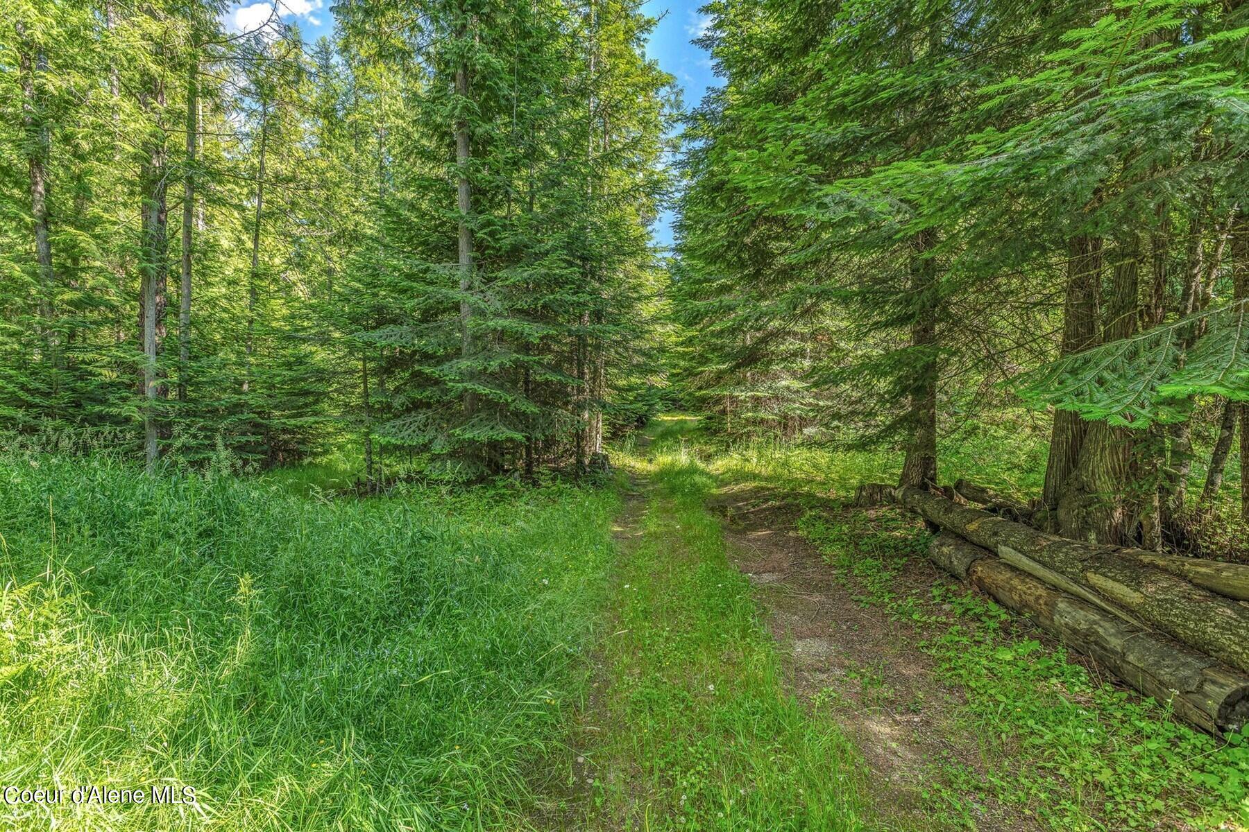 NNA Bottle Bay Rd, Sagle, Idaho image 9