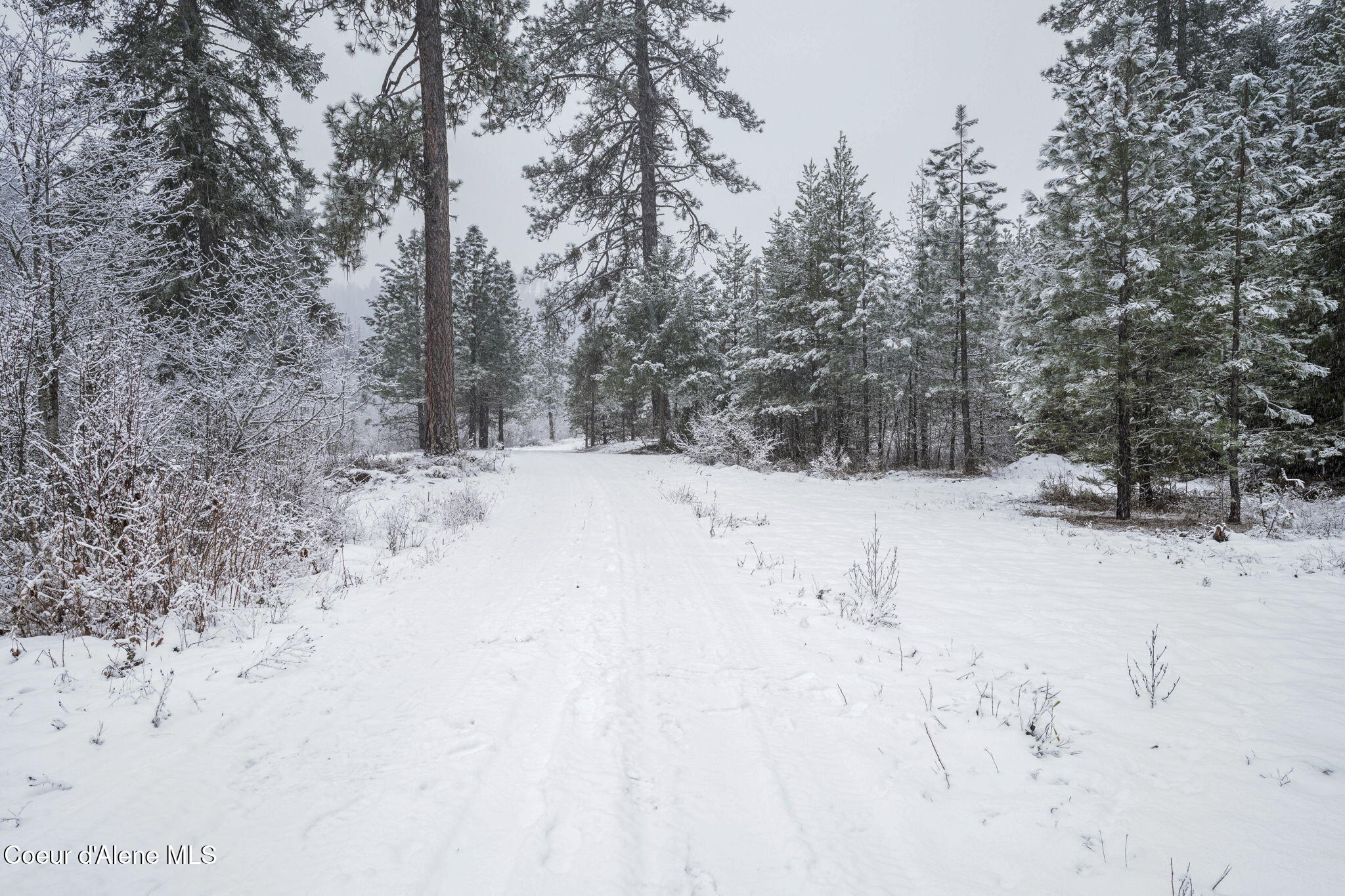 9XX E River Spur, Priest River, Idaho image 6