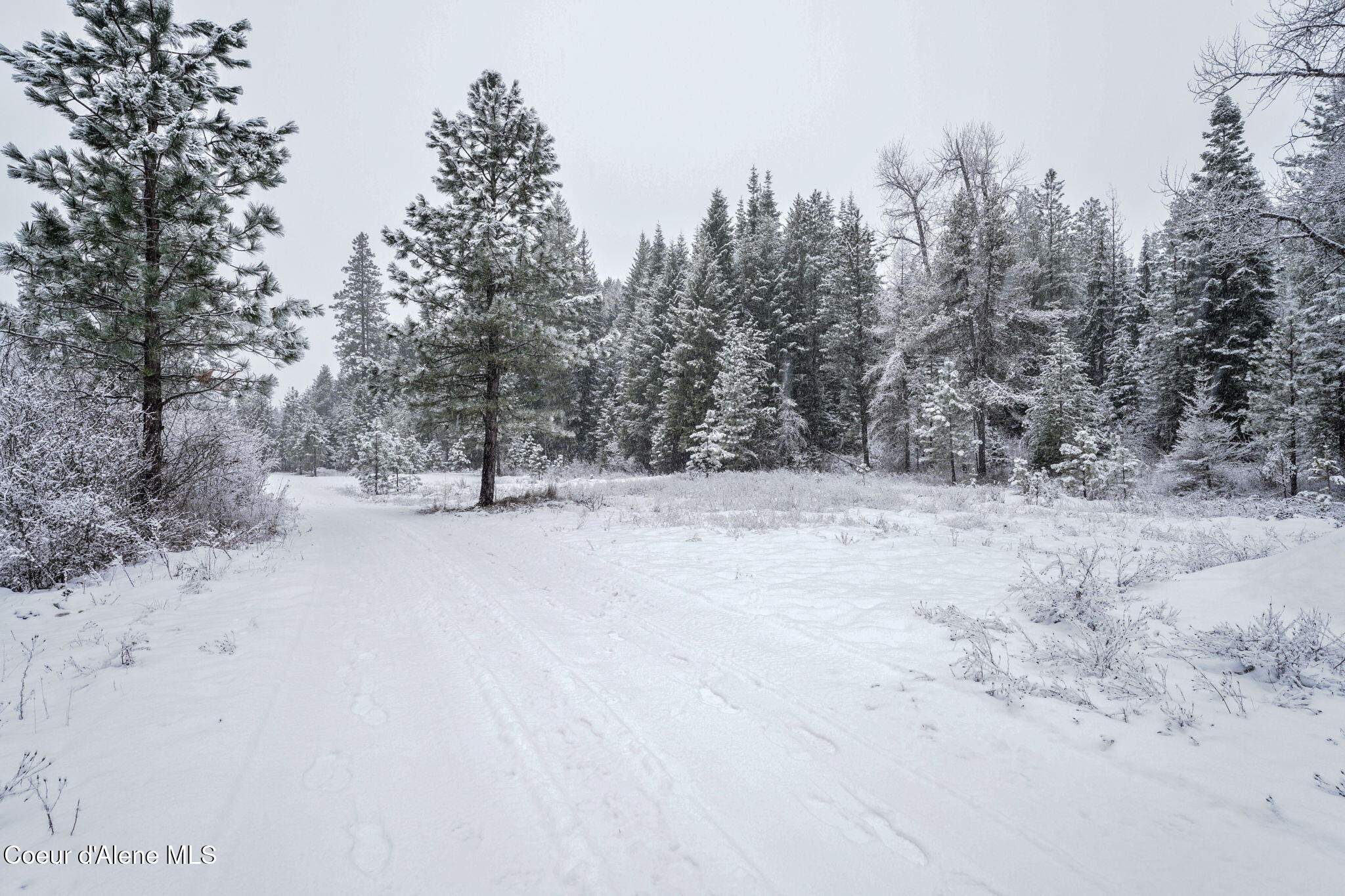 9XX E River Spur, Priest River, Idaho image 5