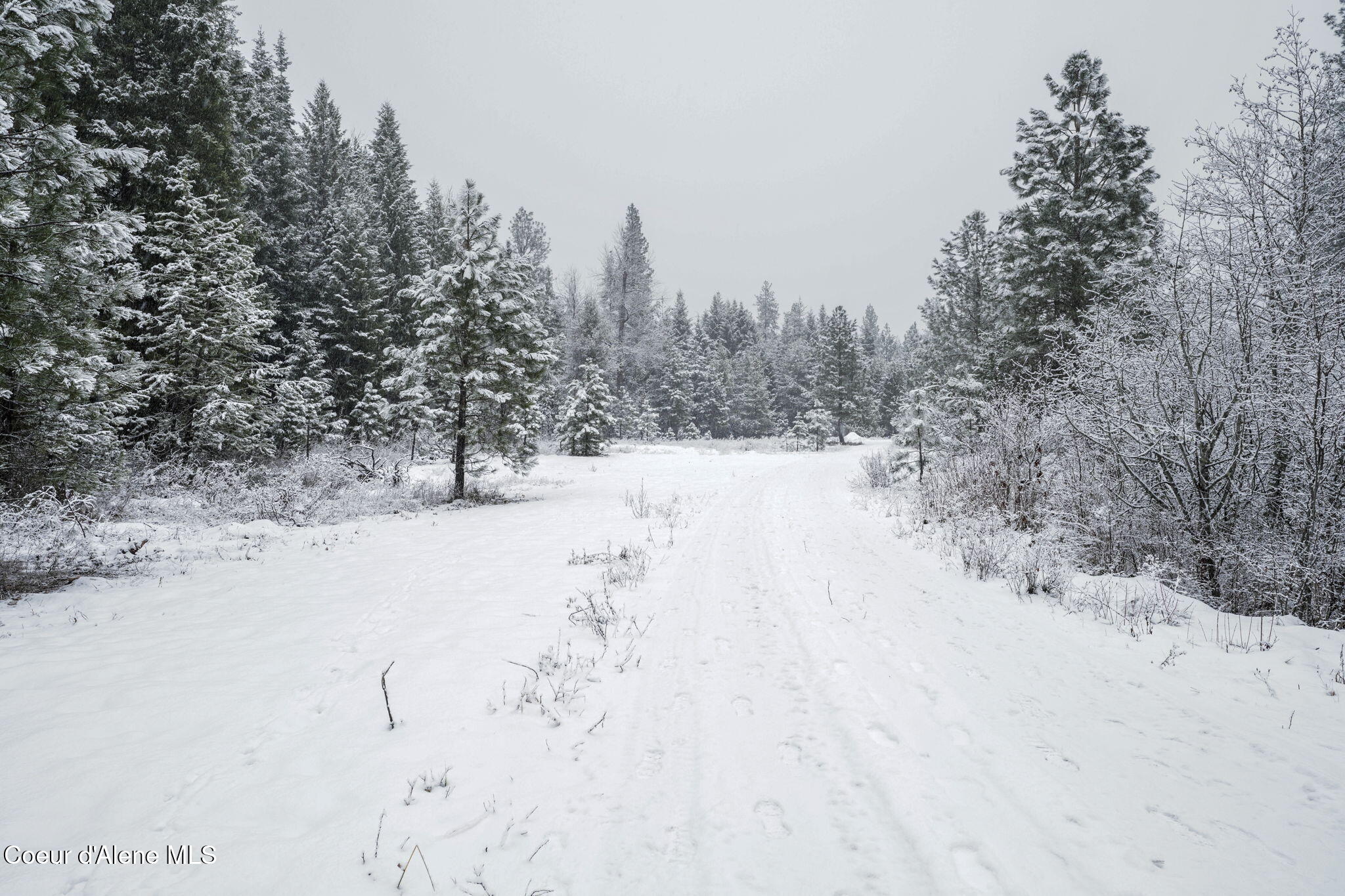 9XX E River Spur, Priest River, Idaho image 7