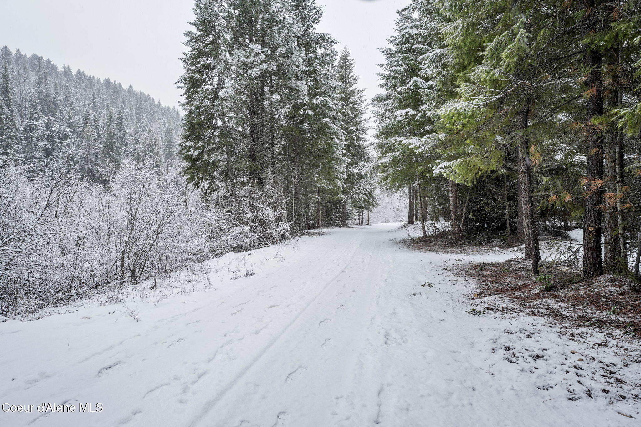 9XX E River Spur, Priest River, Idaho image 3